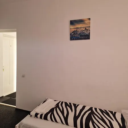 Gasthuis Bigcitty Cluj-Napoca